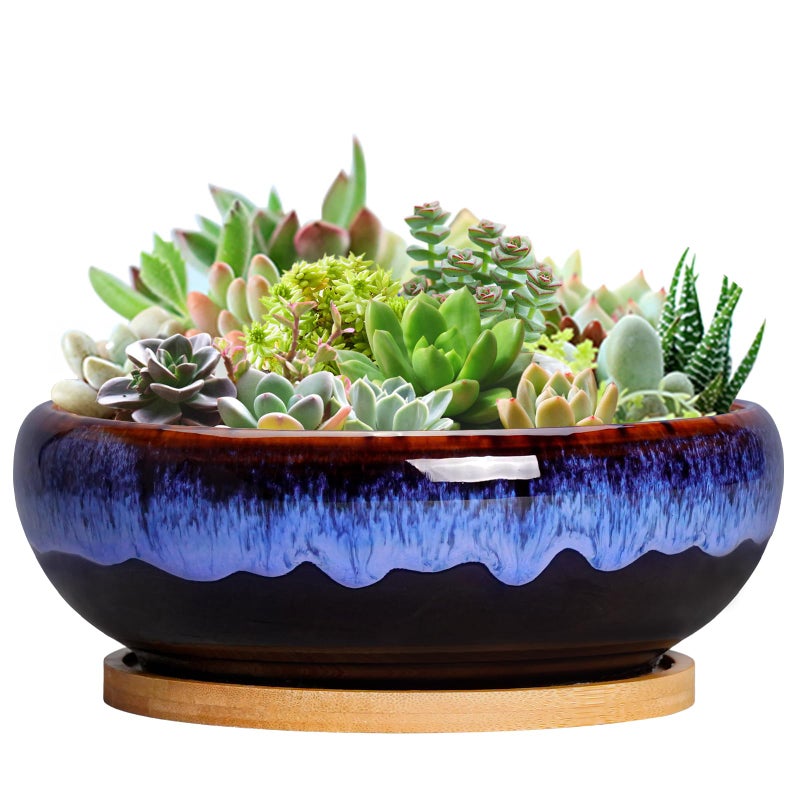 SQOWL 7 Inch Round Ceramic Succulent Planter Pot Drip Glazed Shallow Planter with Drainage Bamboo Tray for Indoor Plants - Image 1