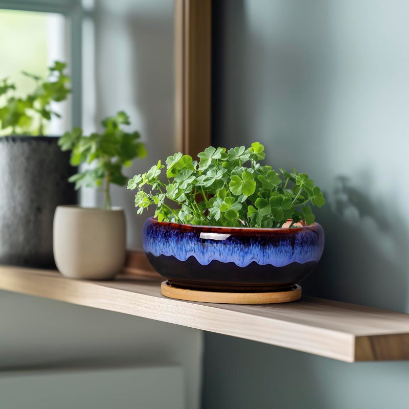 SQOWL 7 Inch Round Ceramic Succulent Planter Pot Drip Glazed Shallow Planter with Drainage Bamboo Tray for Indoor Plants - Image 4