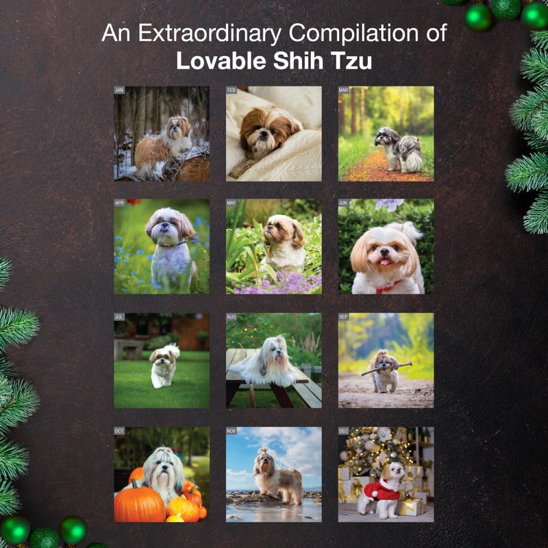 MICASA PRESS Shih Tzu 2026 Wall Calendar 12 Month | 12" x 24" Open | Thick & Sturdy Paper | Holiday Gift | Cute Puppy Dog Calendar 2026 - Image 3