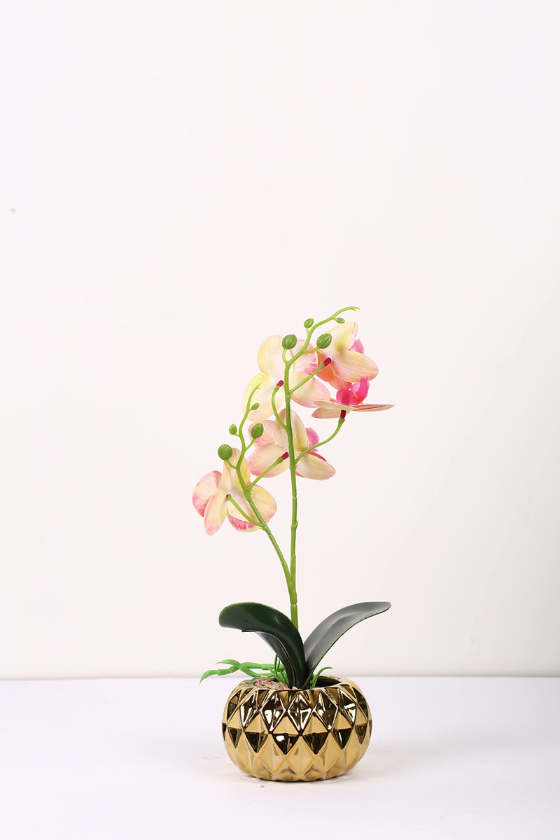 Fourwalls Artificial Butterfly Orchid Flower Plant with Ceramic Pot for Home Décor | Natural Look | (33 cm, Dark Pink) - Image 3