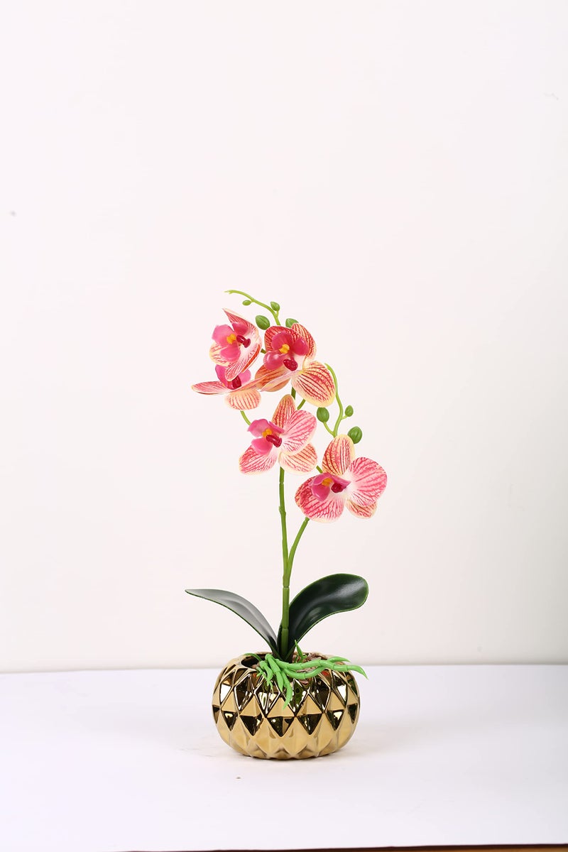 Fourwalls Artificial Butterfly Orchid Flower Plant with Ceramic Pot for Home Décor | Natural Look | (33 cm, Dark Pink) - Image 1