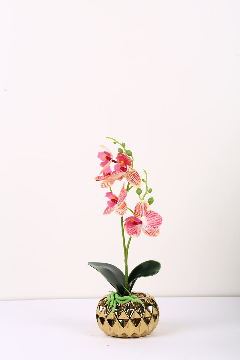 Fourwalls Artificial Butterfly Orchid Flower Plant with Ceramic Pot for Home Décor | Natural Look | (33 cm, Dark Pink) - Image 2