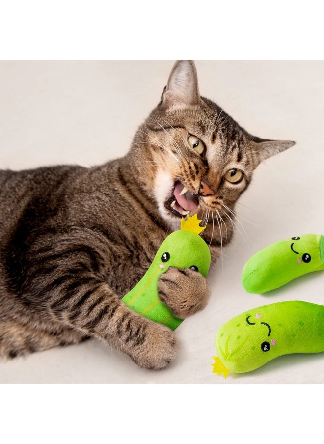 5Pcs Pickle Cat Toys, Kitten Catnip Toys For Cat Lover Gifts, Indoor Cat Chew Bite Kick Plush Cucumber Catmint Kitten Toys Supplies Interactive Cat Toy With Cute Expression For Pet Presents - pzsku/Z3A7A167114E22F14EF7FZ/45/_/1734347333/bf4441a4-1c97-4cab-b233-e7e365662454