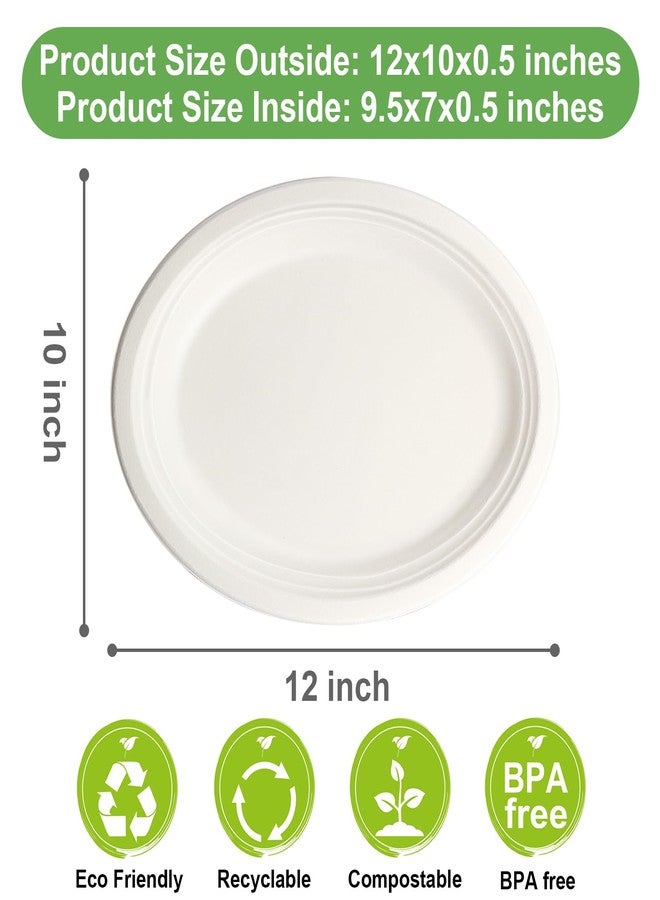 EcoAvance Oval Eco Friendly Disposable Plates - Large Heavy Duty Paper Plates 12 inch, Bulk Pack for BBQ, Party, Picnic - Image 3