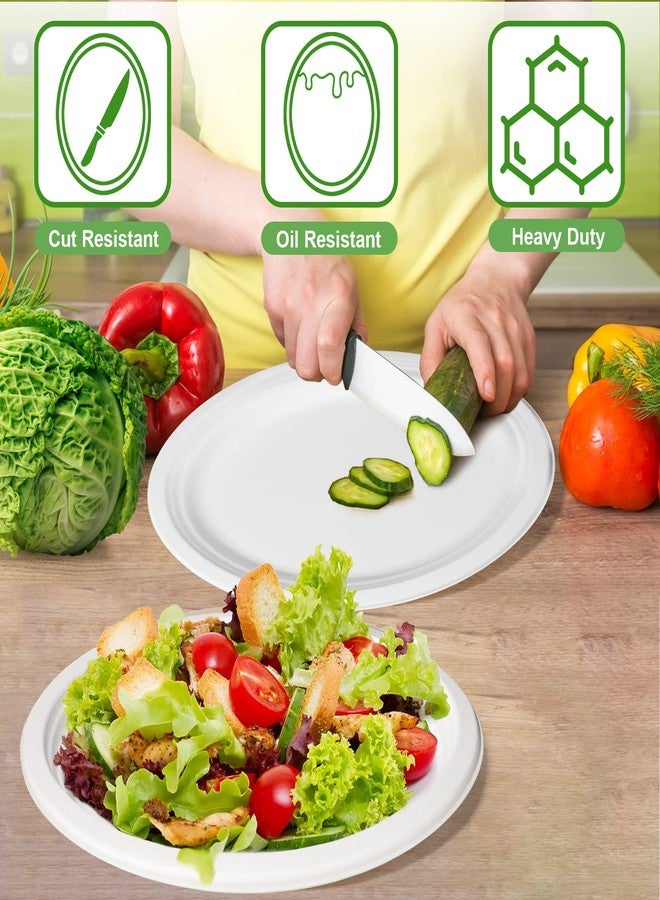 EcoAvance Oval Eco Friendly Disposable Plates - Large Heavy Duty Paper Plates 12 inch, Bulk Pack for BBQ, Party, Picnic - Image 2