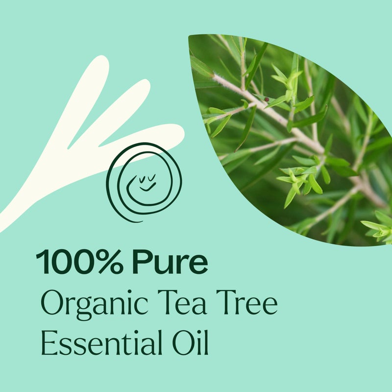 Plant Therapy Organic Tea Tree Oil (Melaleuca) 100% Pure, USDA Certified Organic, Undiluted, Natural Aromatherapy for Skin, Hair, and Toenails, Therapeutic Grade 10 mL (1/3 oz) - Image 5