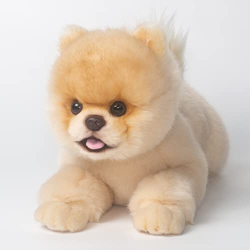 CU-MATE 16 Inch Pomeranian Stuffed Animals Toy DogPlush Puppy Realistic Cute Toy Dog Present Gift for Girls Boys with Box - Image 1