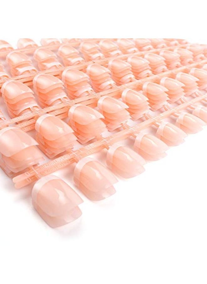 S 12 Different Size Natural French Short False Nails Acrylic Full Cover Nails With Simple Case - pzsku/Z3A7BE0E6D88D1E6CDC9CZ/45/_/1646489442/0075ca88-0183-4be3-a71c-761ceda62da8