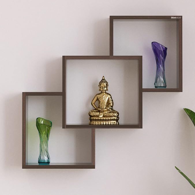 BLUEWUD Grubbin Engineered Wood Wall Decor Floating Shelf Display Rack Decorative Hall Dcor for Living Room Home Furniture Wenge