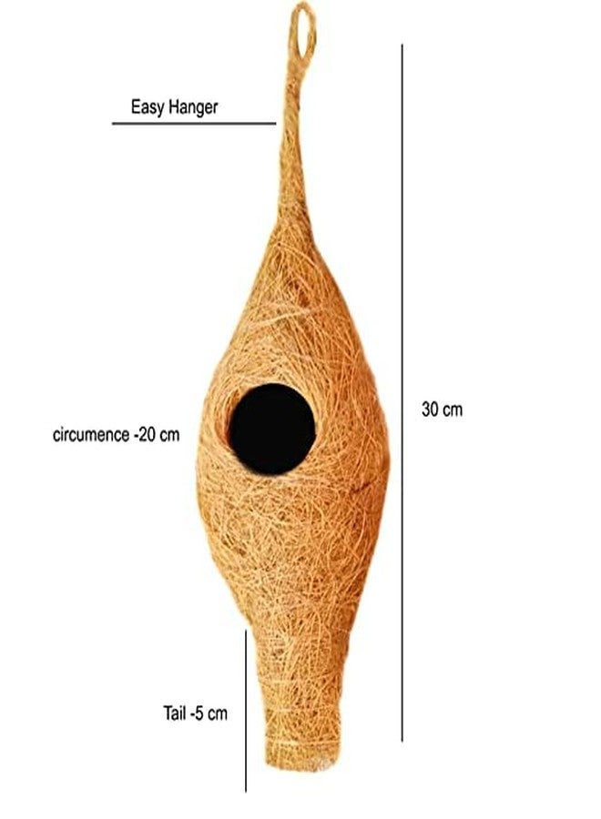 LIVEONCE Safest Round Organic Bird nest Purely Handmade Nest for All Small Birds - (Small) - Image 3