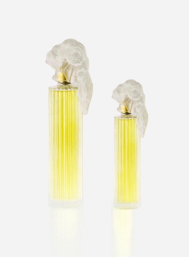 جيه كازانوفا عطر بلايسير، أو دو بارفيوم، 100 مل - Image 2