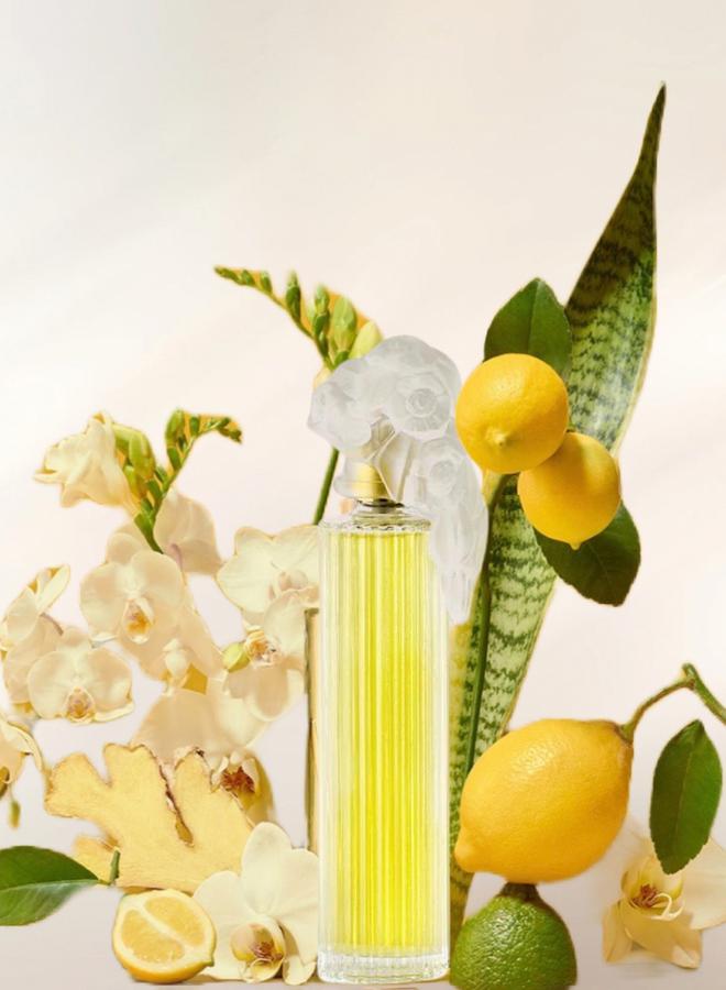 جيه كازانوفا عطر بلايسير، أو دو بارفيوم، 100 مل - Image 4