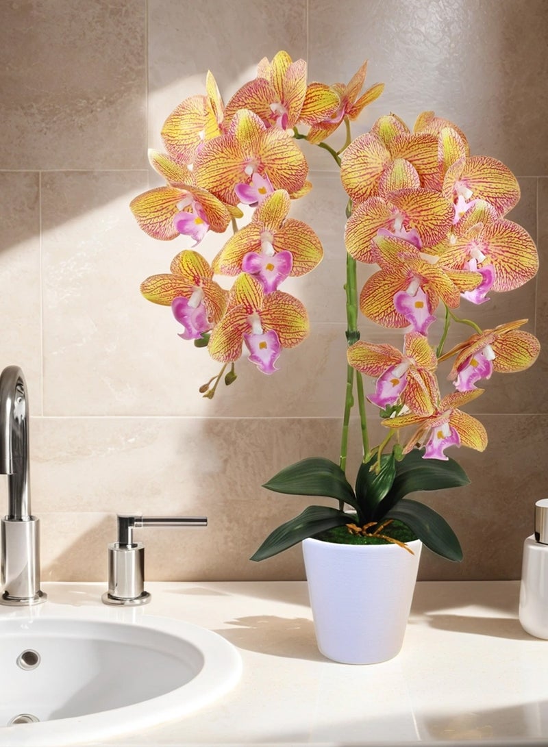 Generic Magic Style Orchid flowers 2 stems color Tiger gold in ceramic white pot for House Office Kitchen Decoration  - Image 5