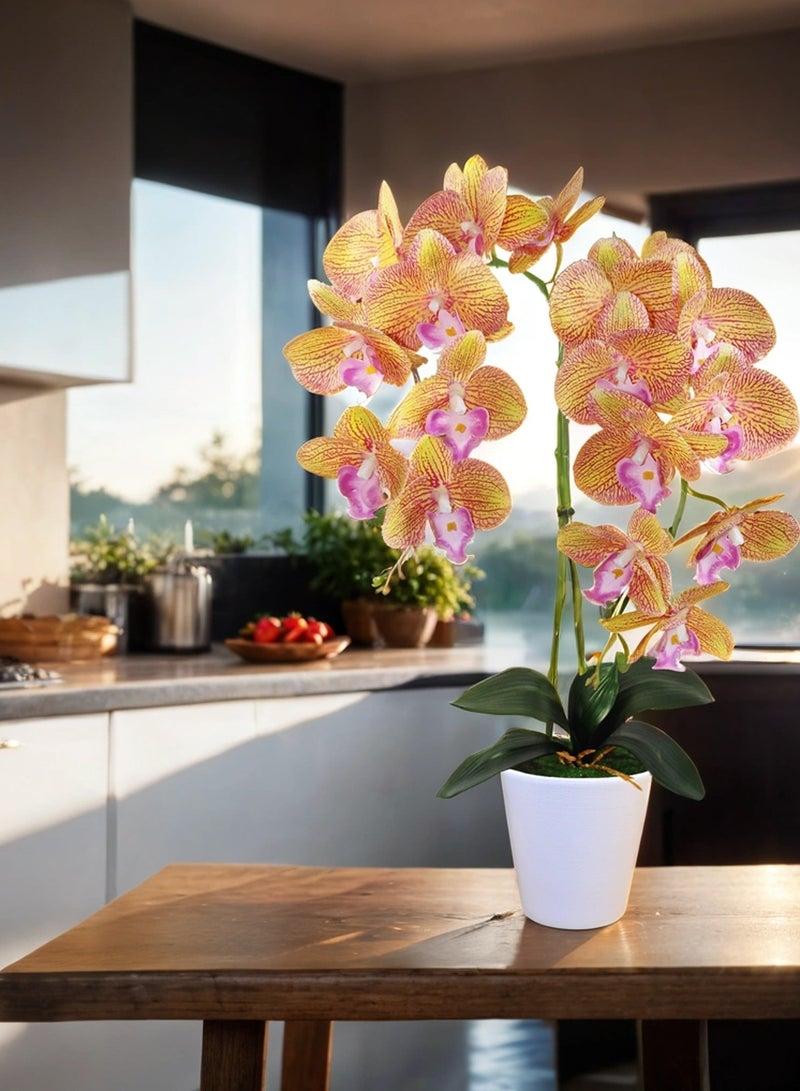 Generic Magic Style Orchid flowers 2 stems color Tiger gold in ceramic white pot for House Office Kitchen Decoration  - Image 3