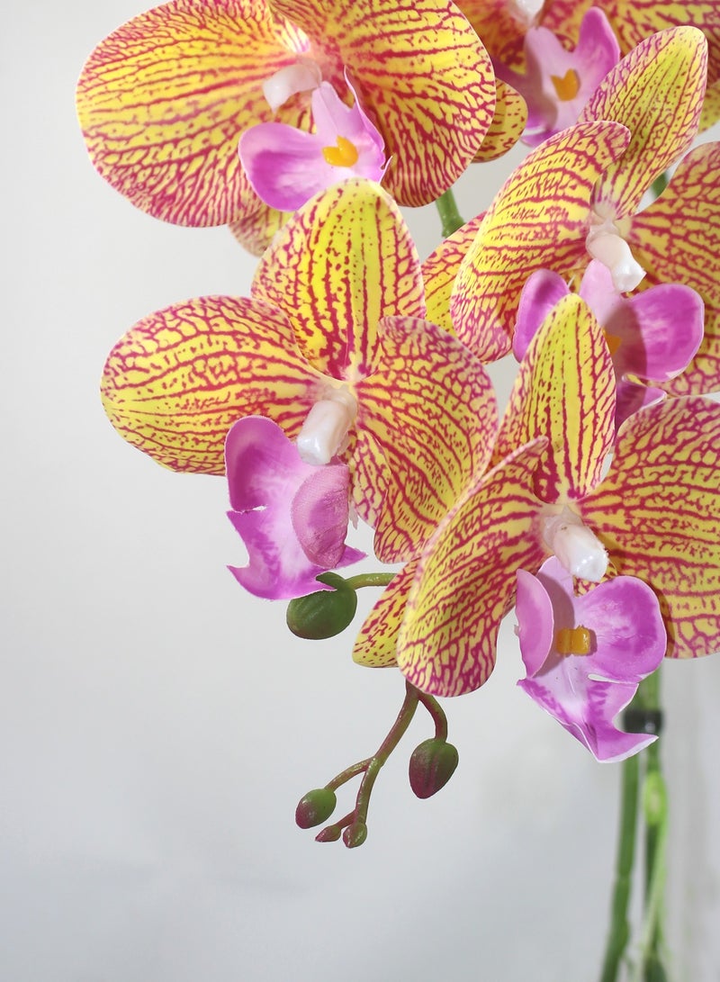 Generic Magic Style Orchid flowers 2 stems color Tiger gold in ceramic white pot for House Office Kitchen Decoration  - Image 4