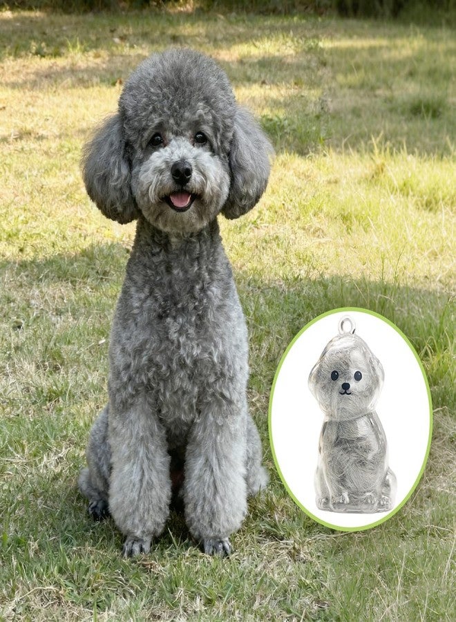 ايلان تذكار شعر الكلاب من إيلان، عبوة من قطعتين، تذكار تذكاري لشعر الحيوانات الأليفة، سلسلة مفاتيح تذكارية من شعر الحيوانات الأليفة (بيشون شفاف) - Image 4