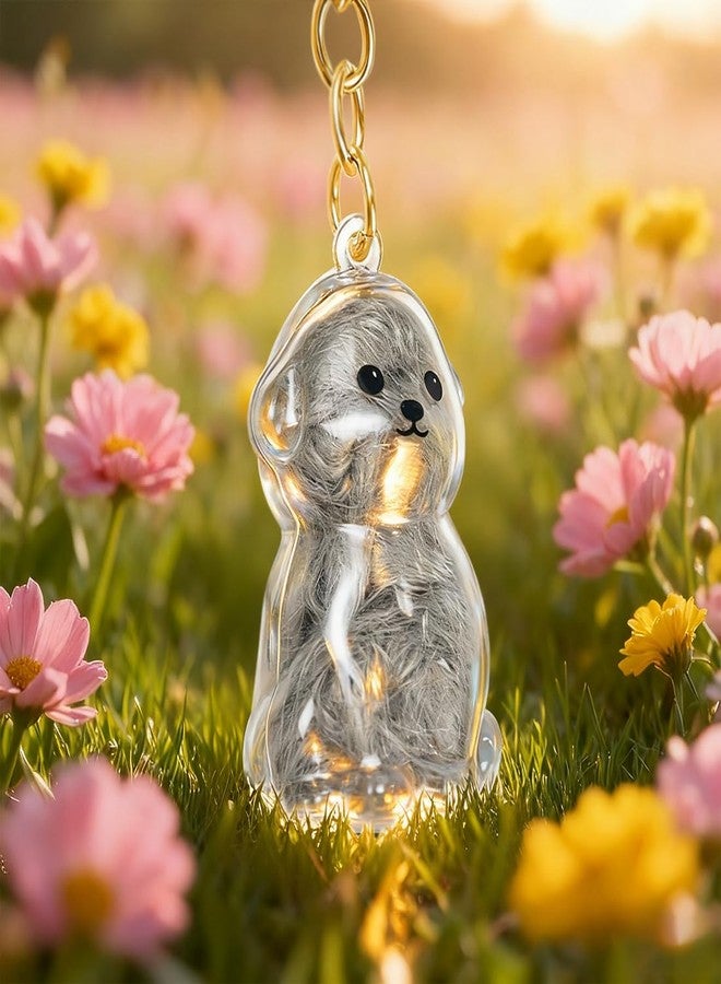 ايلان تذكار شعر الكلاب من إيلان، عبوة من قطعتين، تذكار تذكاري لشعر الحيوانات الأليفة، سلسلة مفاتيح تذكارية من شعر الحيوانات الأليفة (بيشون شفاف) - Image 3