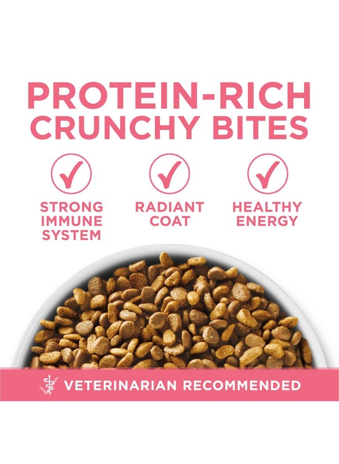 Purina ONE Purina ONE High Protein, Natural Dry Kitten Food, +Plus Healthy Kitten Formula - 7 lb. Bag  - Image 2