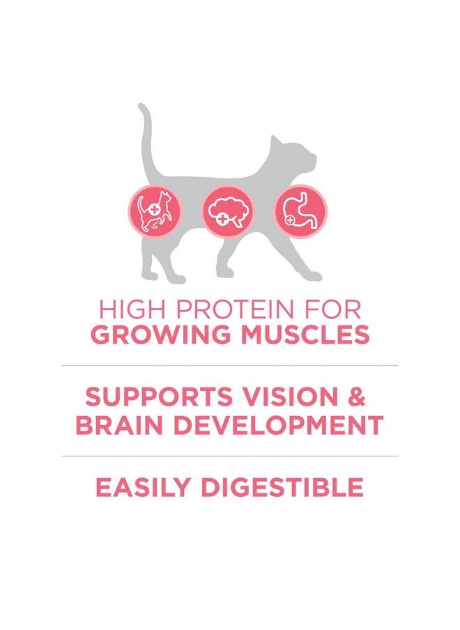 Purina ONE Purina ONE High Protein, Natural Dry Kitten Food, +Plus Healthy Kitten Formula - 7 lb. Bag  - Image 4