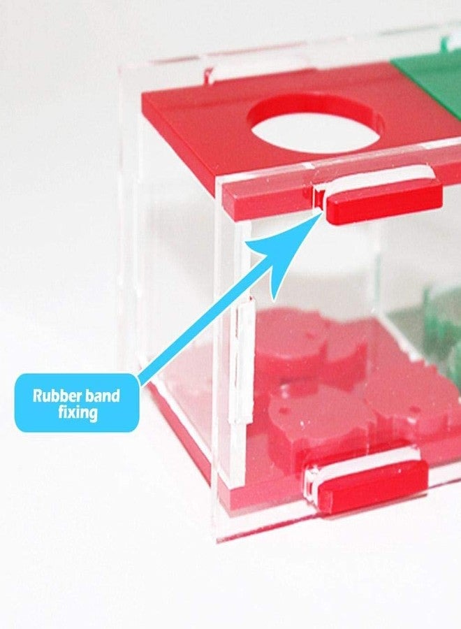 Litewoo Bird Intelligence Training Toy Color Separation Coin Box Education Interactive Playing Puzzle Toy for African Grey Parakeet Cockatiel Cockatoo Finch Canary Budgie Conure Lovebird Amazon - Image 5