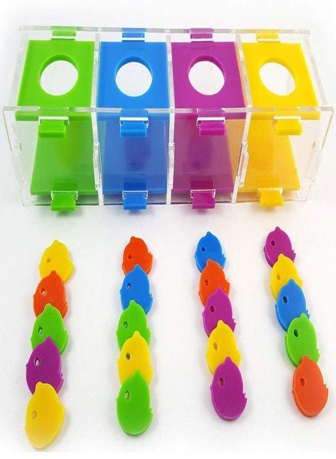 Litewoo Bird Intelligence Training Toy Color Separation Coin Box Education Interactive Playing Puzzle Toy for African Grey Parakeet Cockatiel Cockatoo Finch Canary Budgie Conure Lovebird Amazon - Image 1