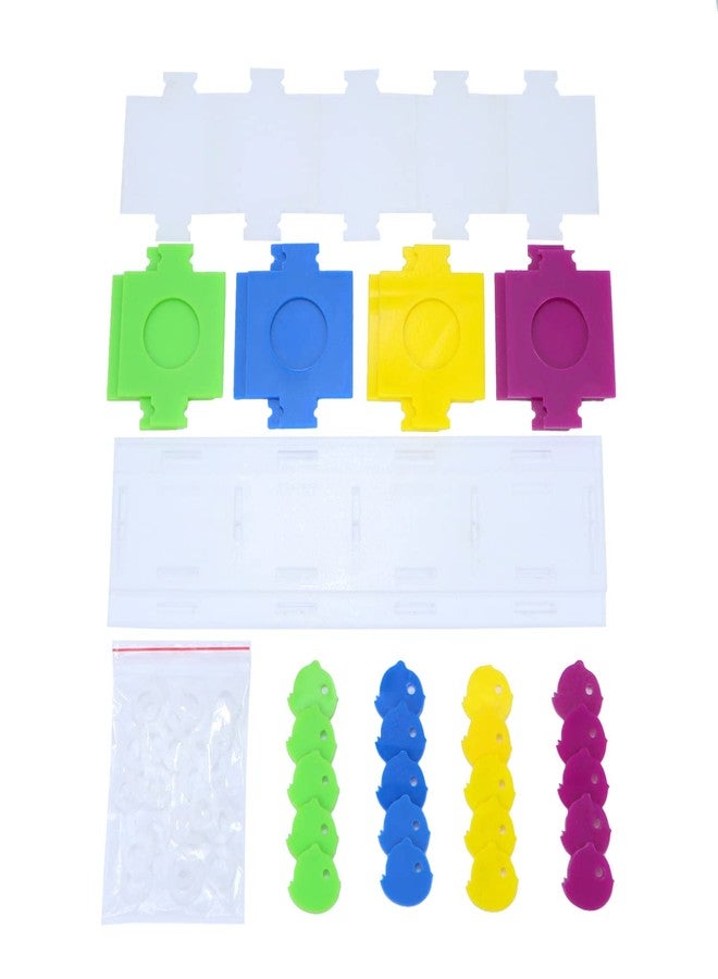 Litewoo Bird Intelligence Training Toy Color Separation Coin Box Education Interactive Playing Puzzle Toy for African Grey Parakeet Cockatiel Cockatoo Finch Canary Budgie Conure Lovebird Amazon - Image 3