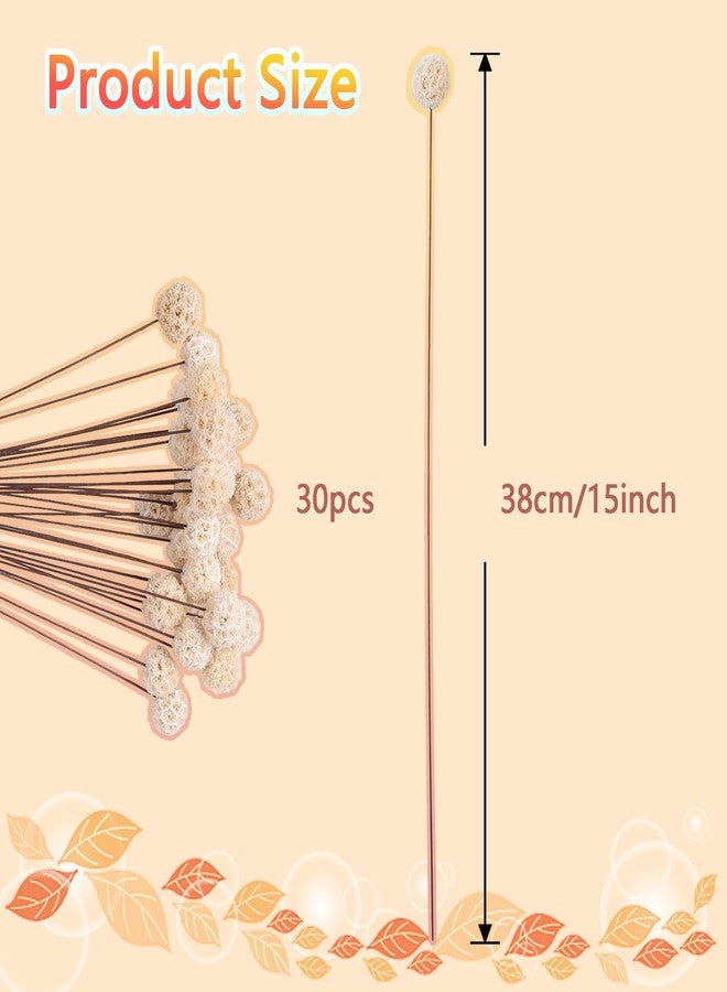 Fumwase 30 PCs Billy Ball Craspedia Bouquet: Natural Dried Flowers for Vase, Boho Decor & DIY Parties - White - Image 2