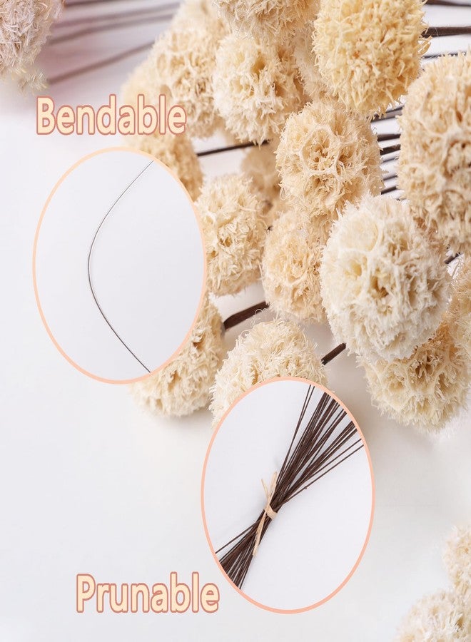 Fumwase 30 PCs Billy Ball Craspedia Bouquet: Natural Dried Flowers for Vase, Boho Decor & DIY Parties - White - Image 3
