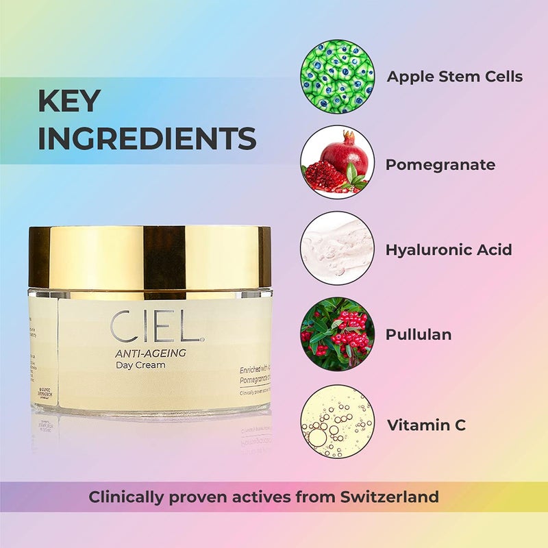 CIEL AntiAging Day Cream 50g Vitamin C Hyaluronic Acid Moisturizer for Glowing Hydrated Radiant Skin AntiWrinkle Face Cream for All Skin Types Daily Use for Men Women - Image 4