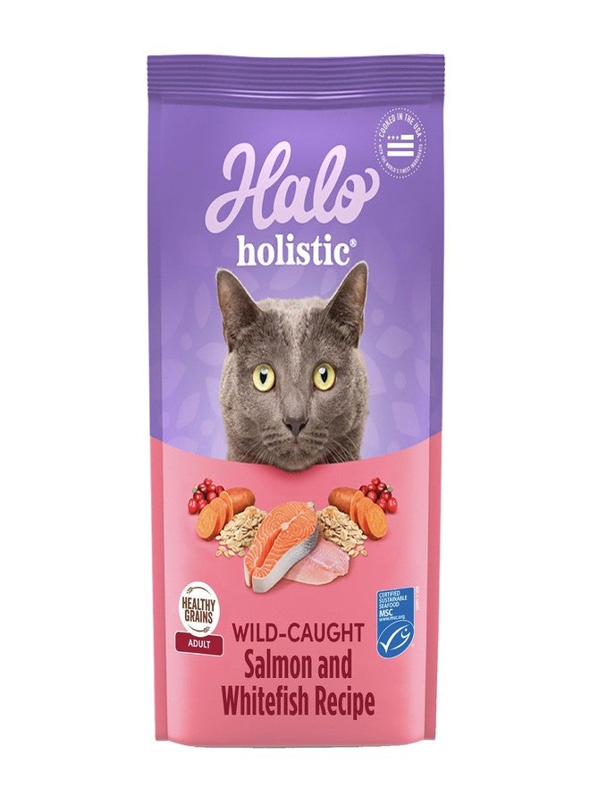 Halo Holistic Cat Food Wild Caught Salmon & Whitefish Formula, Healthy Grains Dry Cat Food, Complete Digestive Health, Kibble for Adult Cats, 3 lb Bag - Image 1