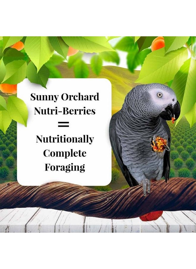 لافيبيرز طعام الطيور الأليفة Nutri-Berries Sunny Orchard من LAFEBER'S، مصنوع من مكونات غير معدلة وراثيًا ومناسبة للبشر، للببغاوات (عبوة من قطعتين، 10 أونصة)  - Image 1