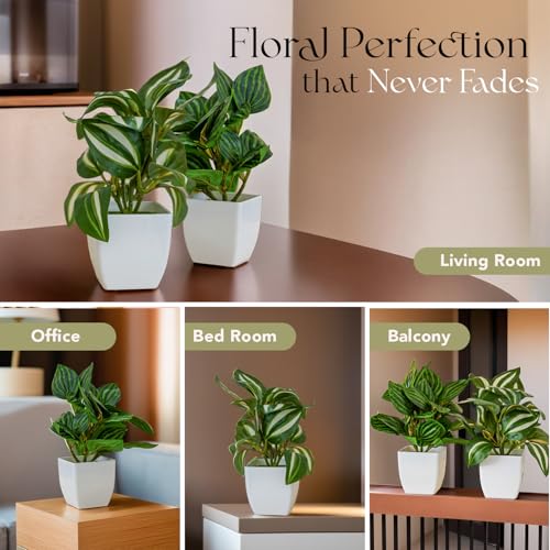 Ekhasa Nostrae Green Dracaena Artificial Plants with Pot for Home Decor (Set of 2) | Massangeana Plastic Artificial Plants for Decor | Faux Fake Plants for Living Room, Office Desk, Indoor Outdoor - Image 5