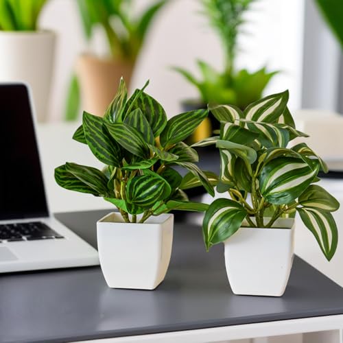 Ekhasa Nostrae Green Dracaena Artificial Plants with Pot for Home Decor (Set of 2) | Massangeana Plastic Artificial Plants for Decor | Faux Fake Plants for Living Room, Office Desk, Indoor Outdoor - Image 2