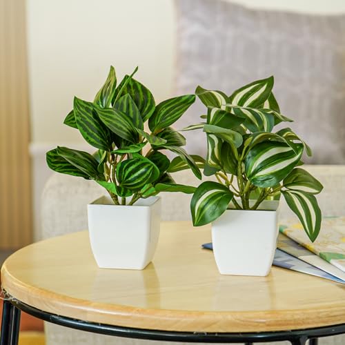 Ekhasa Nostrae Green Dracaena Artificial Plants with Pot for Home Decor (Set of 2) | Massangeana Plastic Artificial Plants for Decor | Faux Fake Plants for Living Room, Office Desk, Indoor Outdoor - Image 1