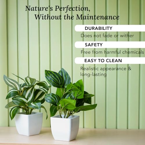 Ekhasa Nostrae Green Dracaena Artificial Plants with Pot for Home Decor (Set of 2) | Massangeana Plastic Artificial Plants for Decor | Faux Fake Plants for Living Room, Office Desk, Indoor Outdoor - Image 4