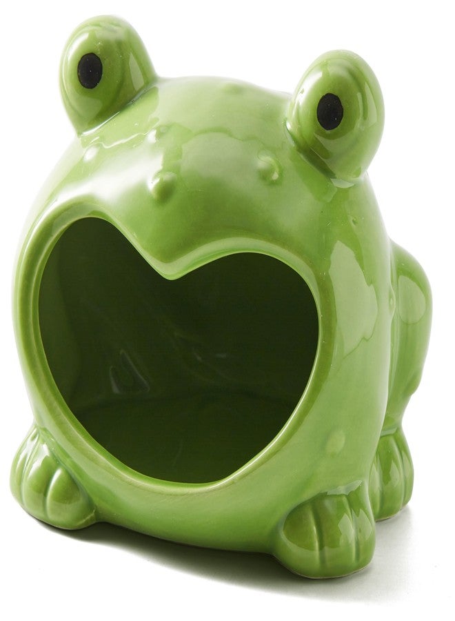 FAQQI Ceramic Frog Sponge Holder for Kitchen Sink - Cute Sponge Holder and Novelty Kitchen Gadgets - Unique 5.8-Inch Items and Accessories for Fun and Practical Organization - Image 1