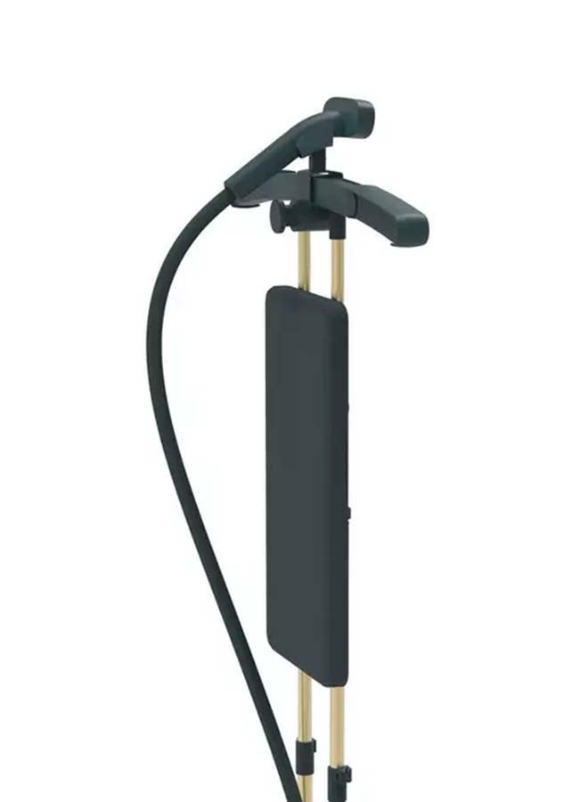 Panasonic Dual Pole garment Steamer, Expandable Hanger 3 L 2400 W NI-GWG090GTH Golden black - Image 3