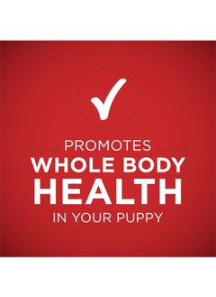 Purina ONE One Plus Classic Ground Lamb & Long Grain Rice Entree Wet Puppy Food 368g  - Image 4