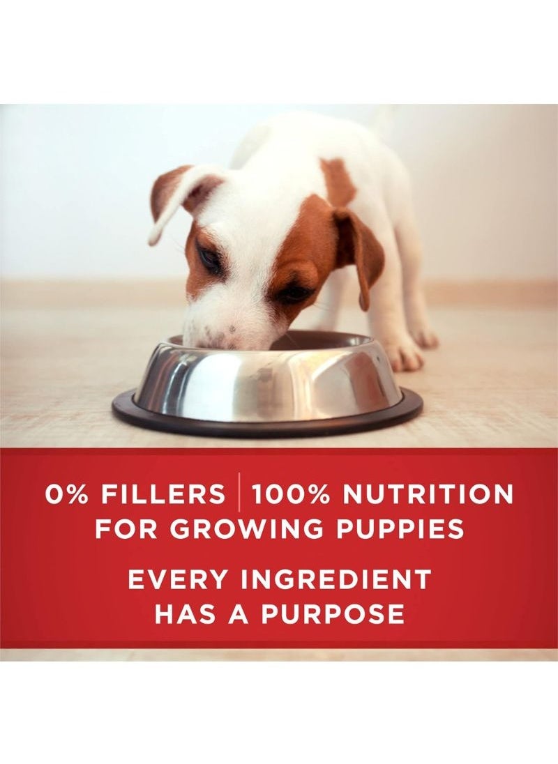 Purina ONE One Plus Classic Ground Lamb & Long Grain Rice Entree Wet Puppy Food 368g  - Image 5