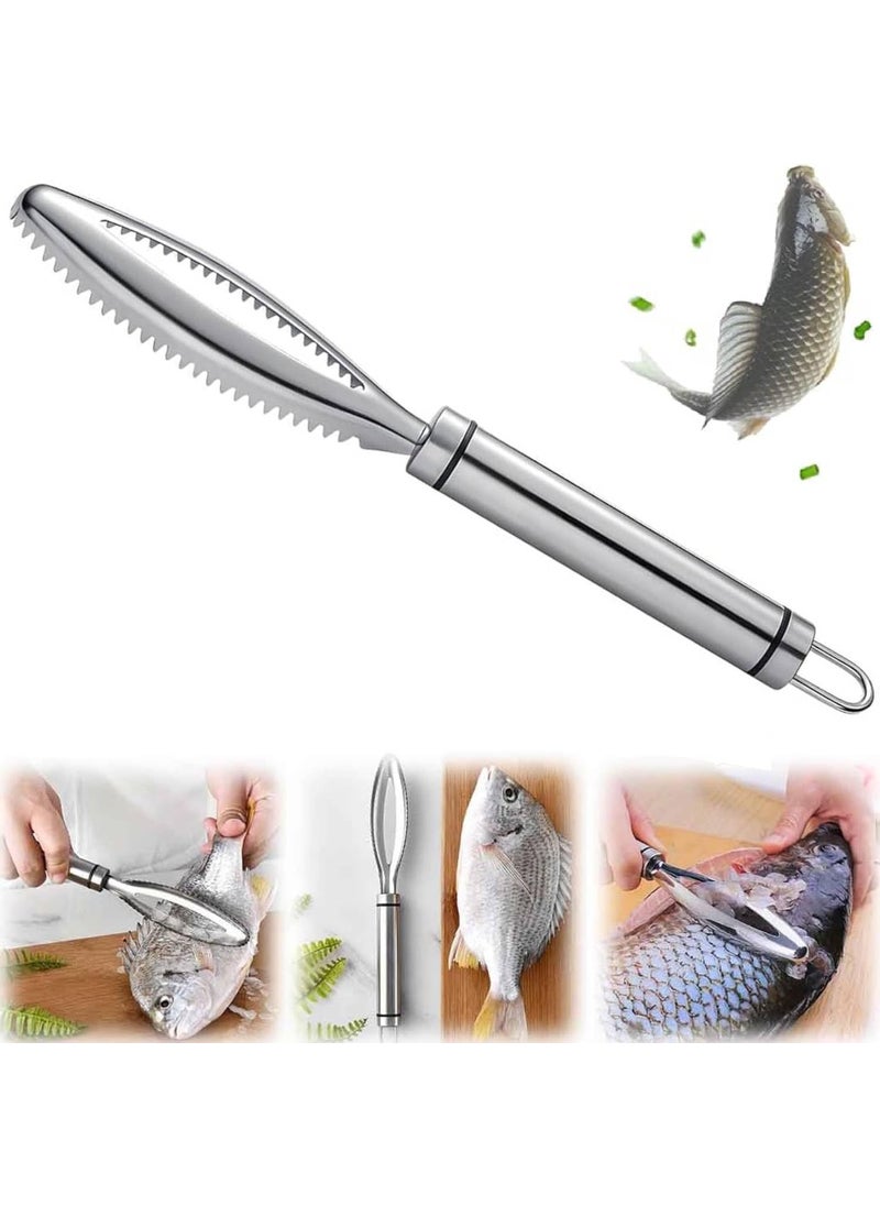 Prostuff.in Prostuff.in® Stainless Steel Food Grade Fish Scale Scraping Graters Fast Remove Cleaning Peeler Scraper Bone Tweezers Scaler Brush, Scale Remover Cleaner, Descaler Tool Kitchen Accessorie 1 Pcs  - Image 1