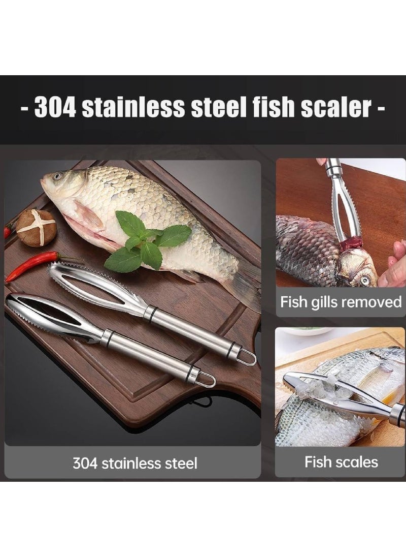 Prostuff.in Prostuff.in® Stainless Steel Food Grade Fish Scale Scraping Graters Fast Remove Cleaning Peeler Scraper Bone Tweezers Scaler Brush, Scale Remover Cleaner, Descaler Tool Kitchen Accessorie 1 Pcs  - Image 2