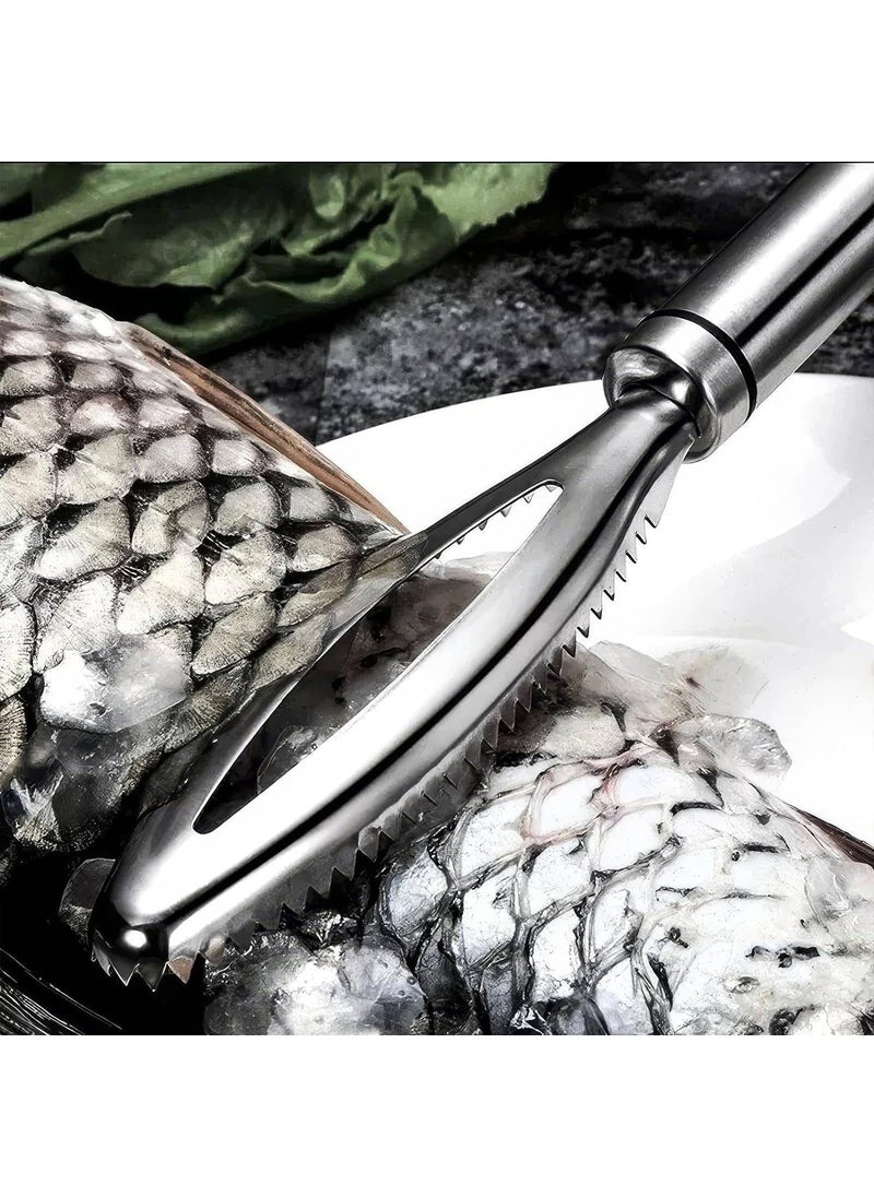 Prostuff.in Prostuff.in® Stainless Steel Food Grade Fish Scale Scraping Graters Fast Remove Cleaning Peeler Scraper Bone Tweezers Scaler Brush, Scale Remover Cleaner, Descaler Tool Kitchen Accessorie 1 Pcs  - Image 3