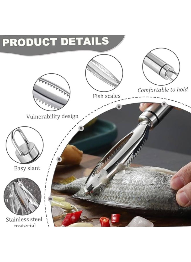 Prostuff.in Prostuff.in® Stainless Steel Food Grade Fish Scale Scraping Graters Fast Remove Cleaning Peeler Scraper Bone Tweezers Scaler Brush, Scale Remover Cleaner, Descaler Tool Kitchen Accessorie 1 Pcs  - Image 4