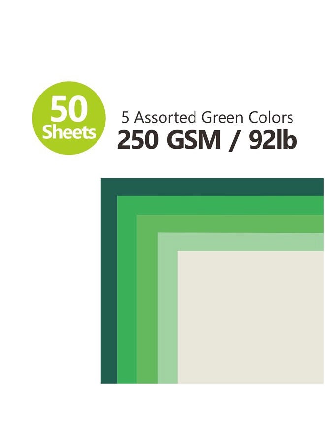 BearBoss Green Colored Cardstock Thick Paper 50 Sheets, 8.5" x 11" Heavyweight 92lb Cover Card Stock for Crafts and DIY Cards Making - Image 2
