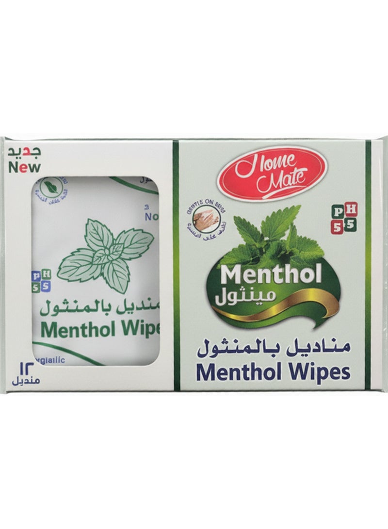 Home Mate Menthol Wipes For Nasal Decongestion 12 Wipes - Image 1