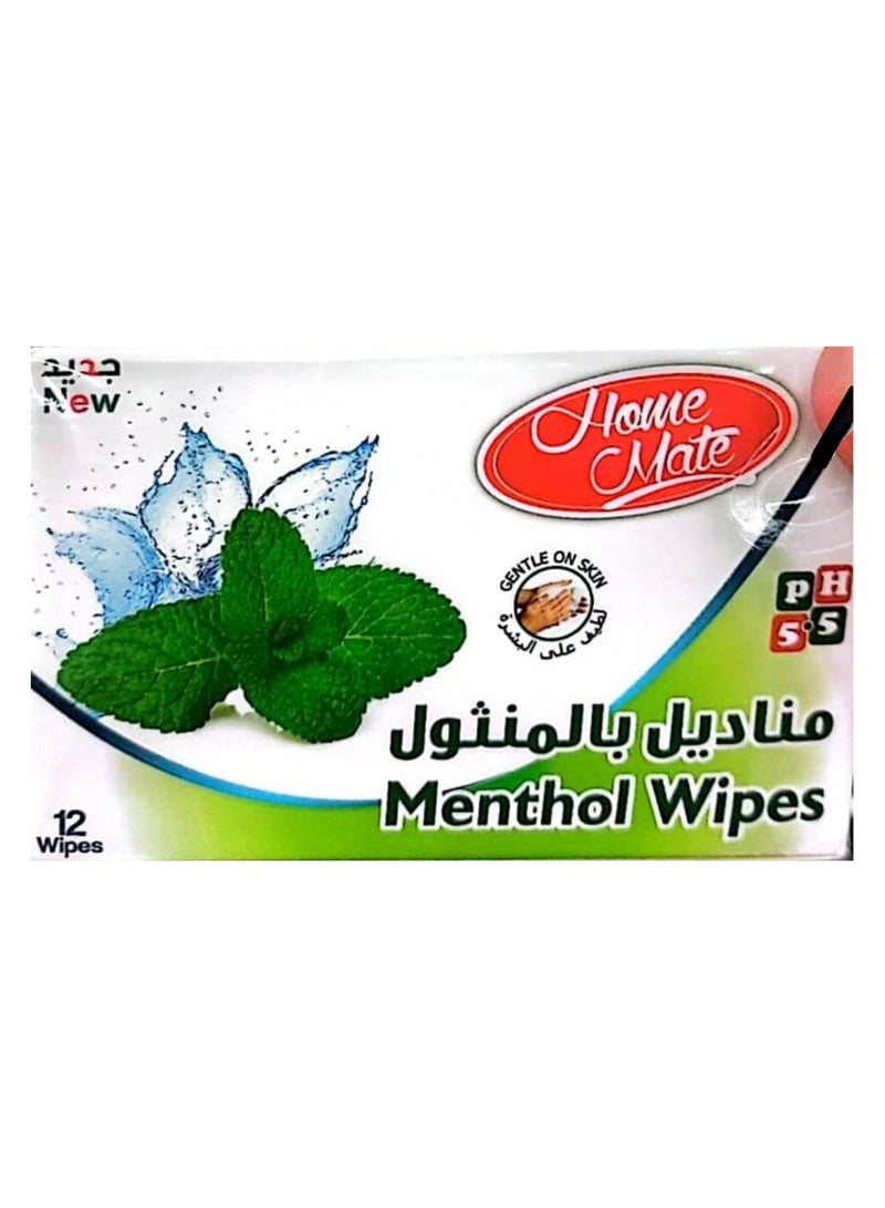 Home Mate Menthol Wipes For Nasal Decongestion 12 Wipes - Image 2