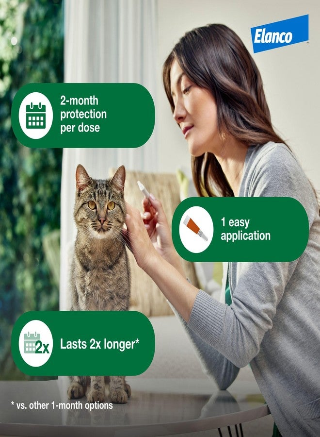 Advantage XD Small Cat Flea Prevention & Treatment For Cats 1.8-9lbs. | 2-Topical Doses, 2-Months of Protection Per Dose - Image 5