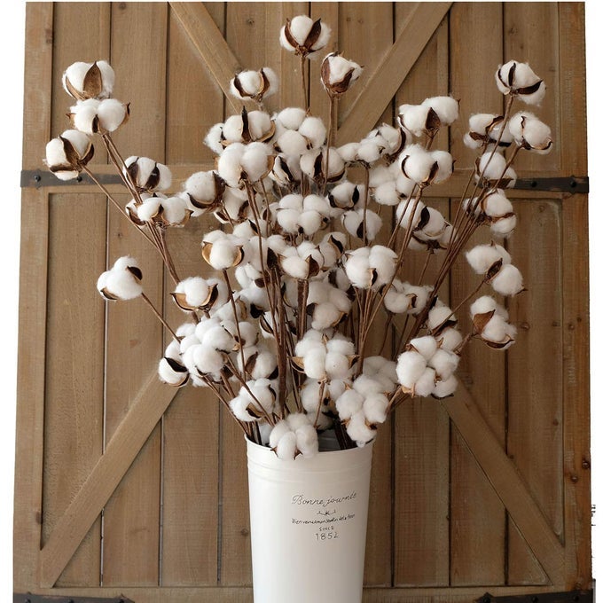 COTTON STEMS DECOR BRANCHES COTTON FLOWERS PLANTS FOR DECORATIONS DRIED FLOWERS FOR VASE PACK OF 631 INCHES TALL 12 BOLLS PER STEM