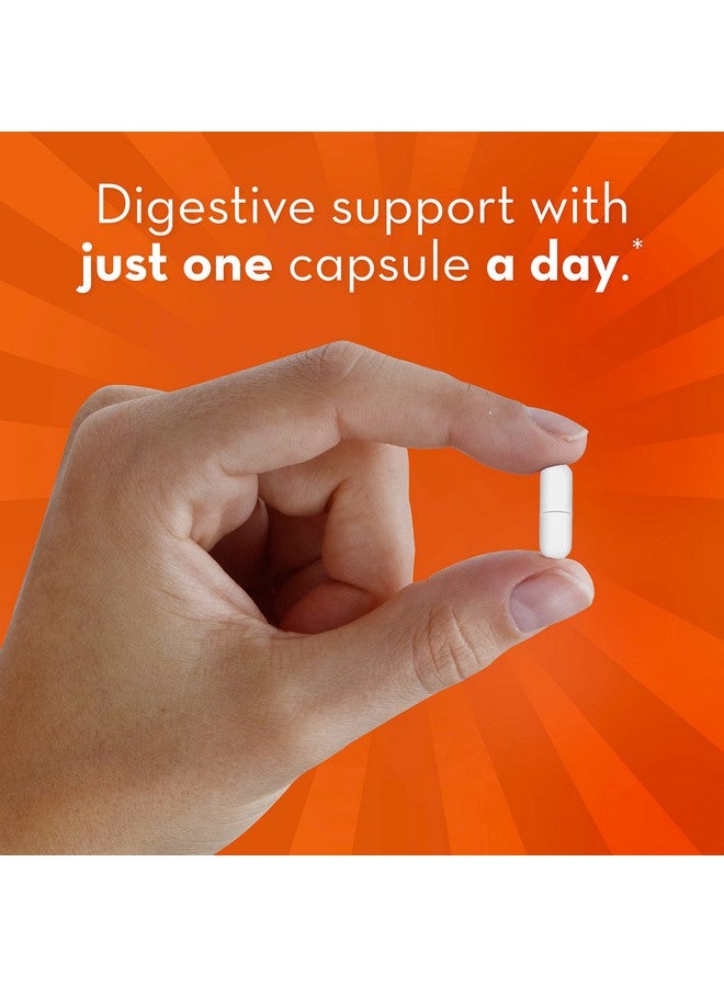 Align بروبيوتيك قوي إضافي للبروبيوتيك للنساء والرجال 1 علامة تجارية موصى بها من قبل الأطباء‡ 5X المزيد من البكتيريا الجيدة^ للمساعدة في دعم نظام هضمي صحي* 42 كبسولة - Image 5