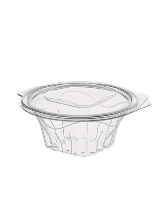 10-pieces Salad Containers with Hinged Lids 16oz - pzsku/Z3A9CB6E703C5EB933F42Z/45/_/1638981312/9aa61cec-9e22-450e-9932-288ec945a6d2